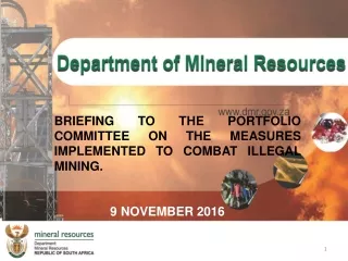 Briefing TO THE PORTFOLIO COMMITTEE on the MEASURES IMPLEMENTED TO COMBAT ILLEGAL MINING.
