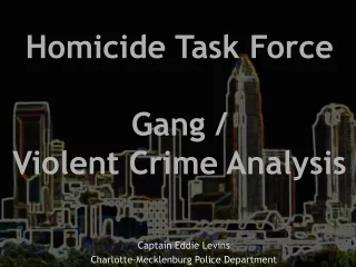 Homicide Task Force Gang / Violent Crime Analysis