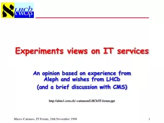 Experiments views on IT services