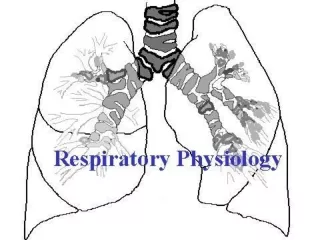 Chapter  5 Respiration