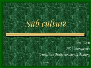 Sub culture