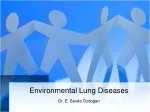 Occupational Lung Diseases: Understanding Pneumoconiosis, Silicosis & Prevention - slide 1