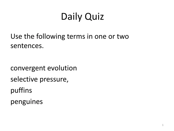 daily quiz