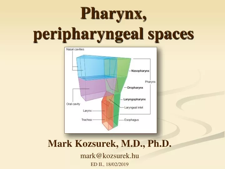 pharynx peripharyngeal spaces