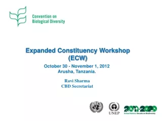 Expanded Constituency Workshop (ECW)