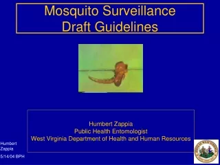 Mosquito Surveillance Draft Guidelines
