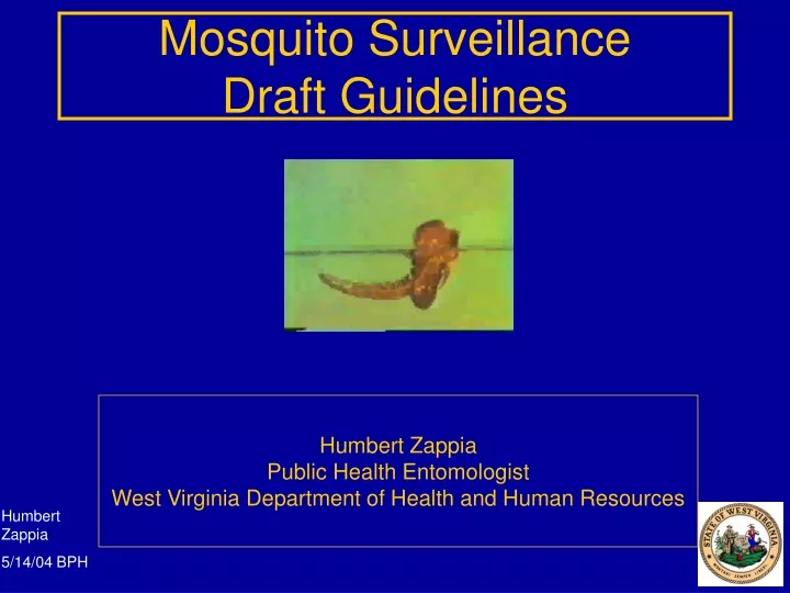 mosquito surveillance draft guidelines