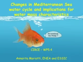 Changes in Mediterranean Sea water cycle and implications for water mass characteristics