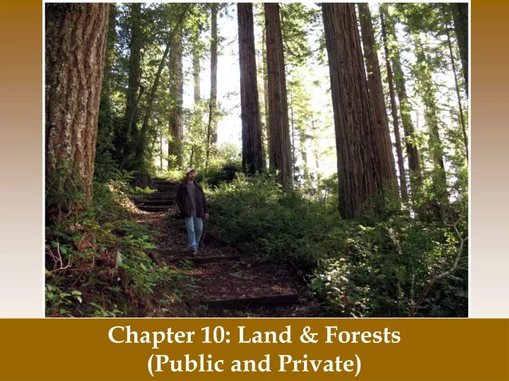 chapter 10 land forests public and private
