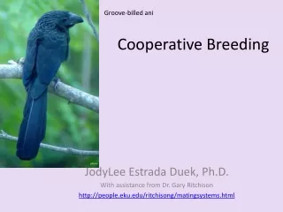 Cooperative Breeding