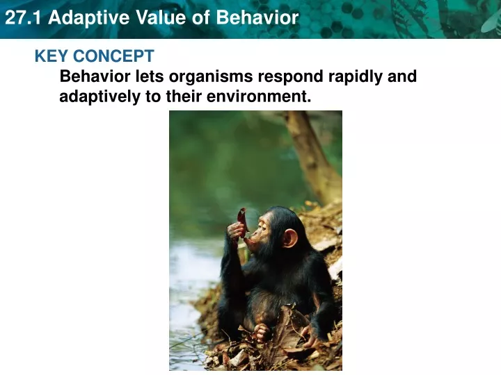 key concept behavior lets organisms respond