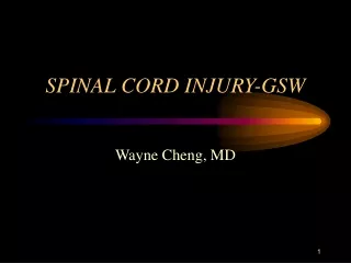 SPINAL CORD INJURY-GSW