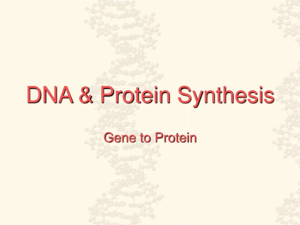 PPT - DNA & Protein Synthesis PowerPoint Presentation, free download ...