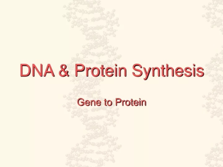 dna protein synthesis