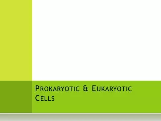 Prokaryotic &amp; Eukaryotic Cells