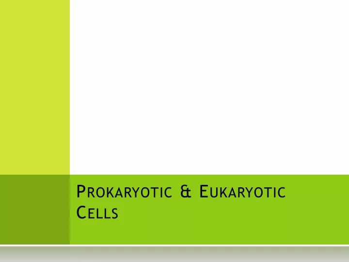 prokaryotic eukaryotic cells