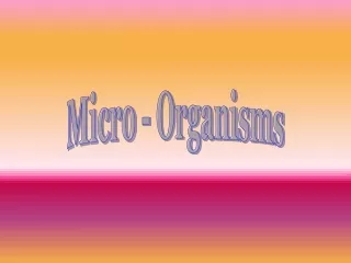 Micro - Organisms