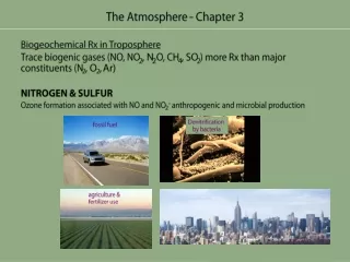 Biogeochemical Rx in Troposphere