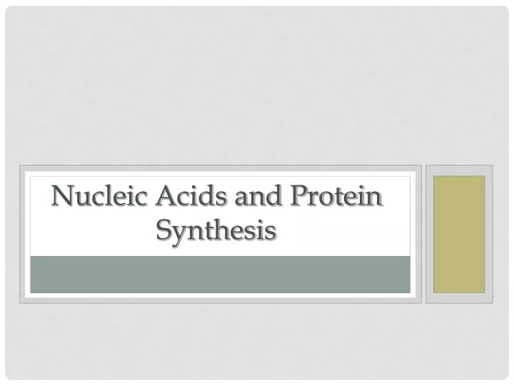 nucleic acids and protein synthesis