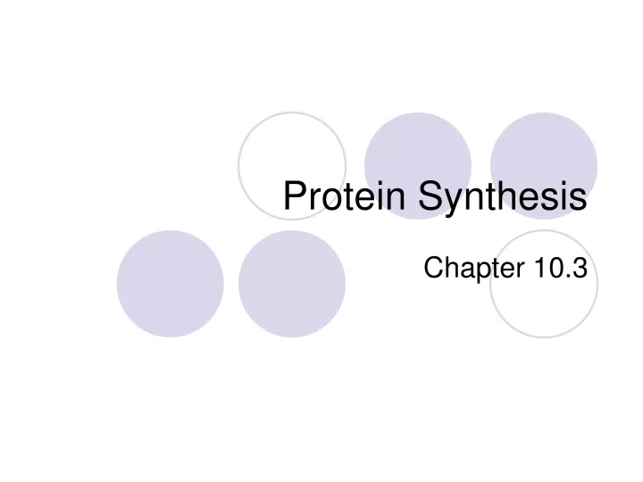 protein synthesis