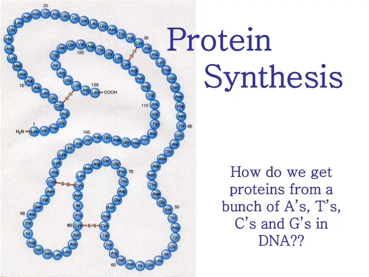 protein synthesis