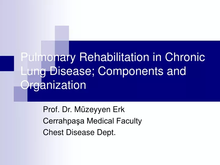 pulmonary rehabilitation in chronic lung disease components and organization
