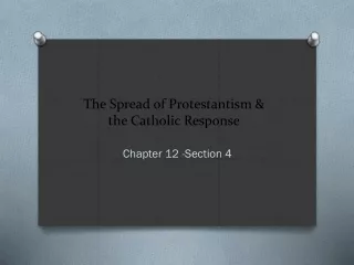 The Spread of Protestantism &amp;  the Catholic Response