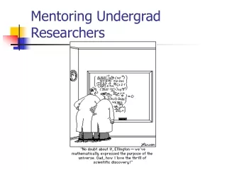 Mentoring Undergrad Researchers