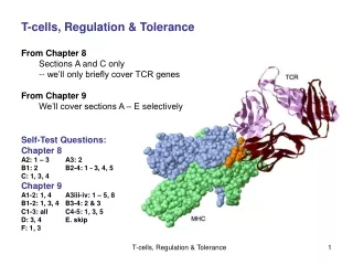 T-cells, Regulation &amp; Tolerance From Chapter 8 	Sections A and C only