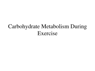 Carbohydrate Metabolism During Exercise