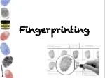 Unveiling Fingerprints: The Science of Dactylography - slide 1
