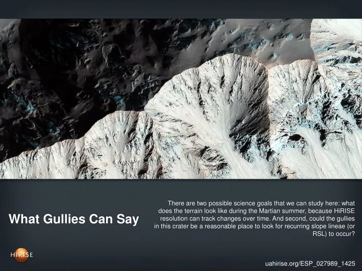 what gullies can say