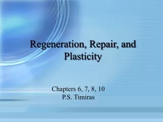 Regeneration, Repair, and Plasticity