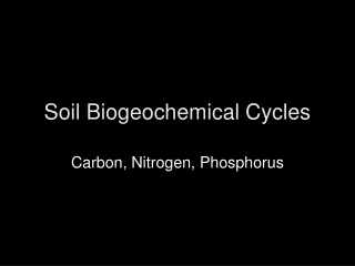 Soil Biogeochemical Cycles