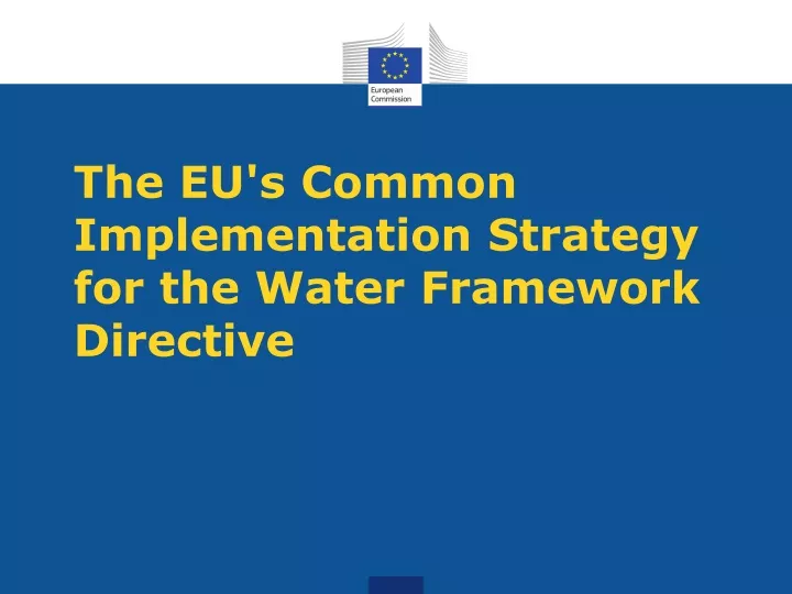 the eu s common implementation strategy for the water framework directive