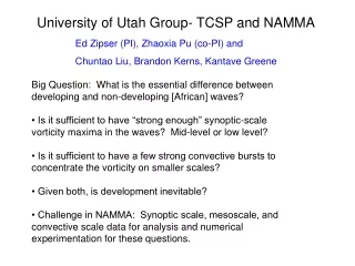 University of Utah Group- TCSP and NAMMA