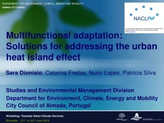 Multifunctional adaptation: Solutions for addressing the urban heat island effect