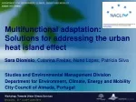 Multifunctional adaptation: Solutions for addressing the urban heat island effect - slide 1
