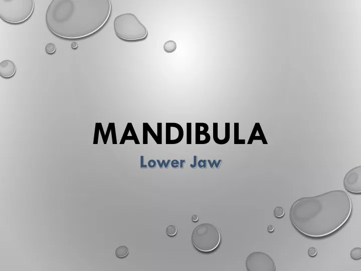 mandibula lower jaw