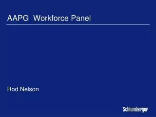 AAPG  Workforce Panel