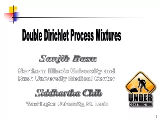 Double Dirichlet Process Mixtures