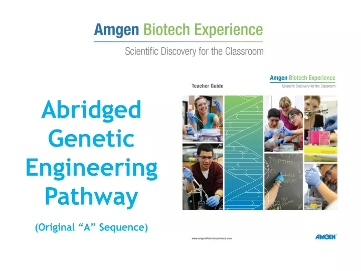 abridged genetic engineering pathway original