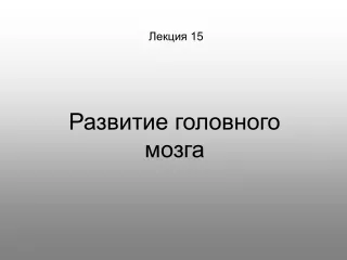 Лекция 1 5