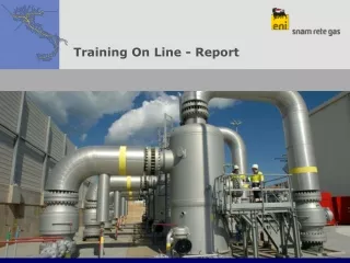 Training On Line - Report