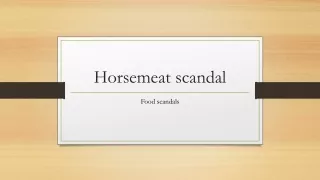 Horsemeat scandal