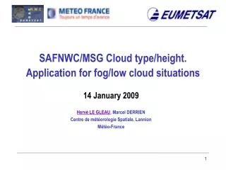 SAFNWC/MSG Cloud type/height.  Application for fog/low cloud situations