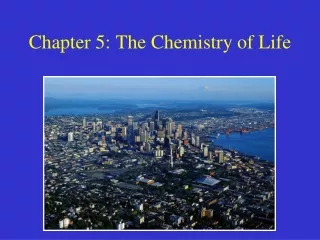Chapter 5: The Chemistry of Life