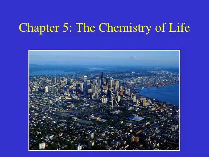chapter 5 the chemistry of life