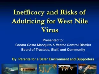 Inefficacy and Risks of Adulticing for West Nile Virus