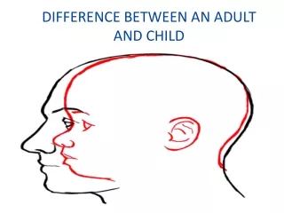 DIFFERENCE BETWEEN AN ADULT AND CHILD